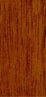 Meranti wood species