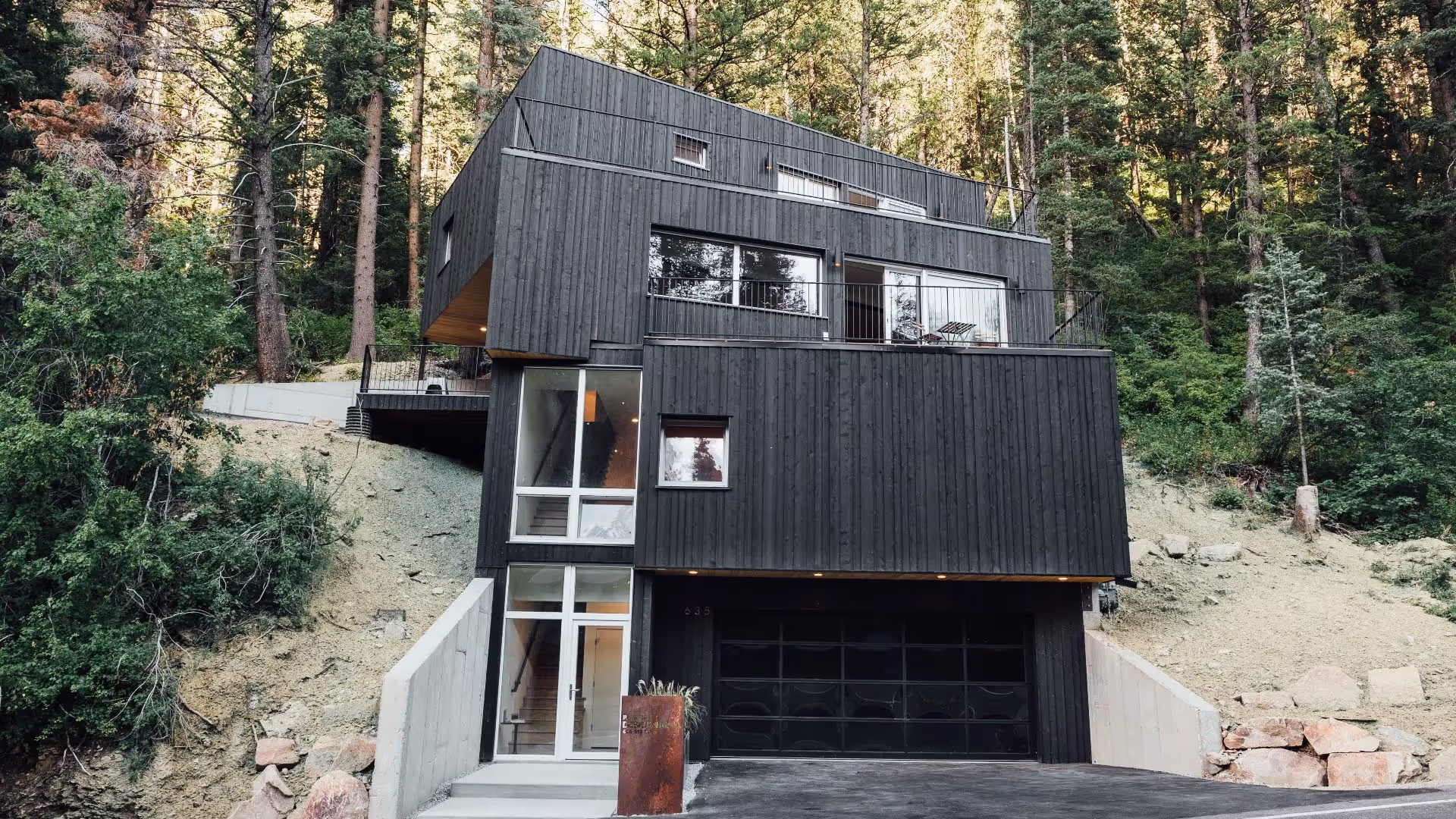 Tree Haus