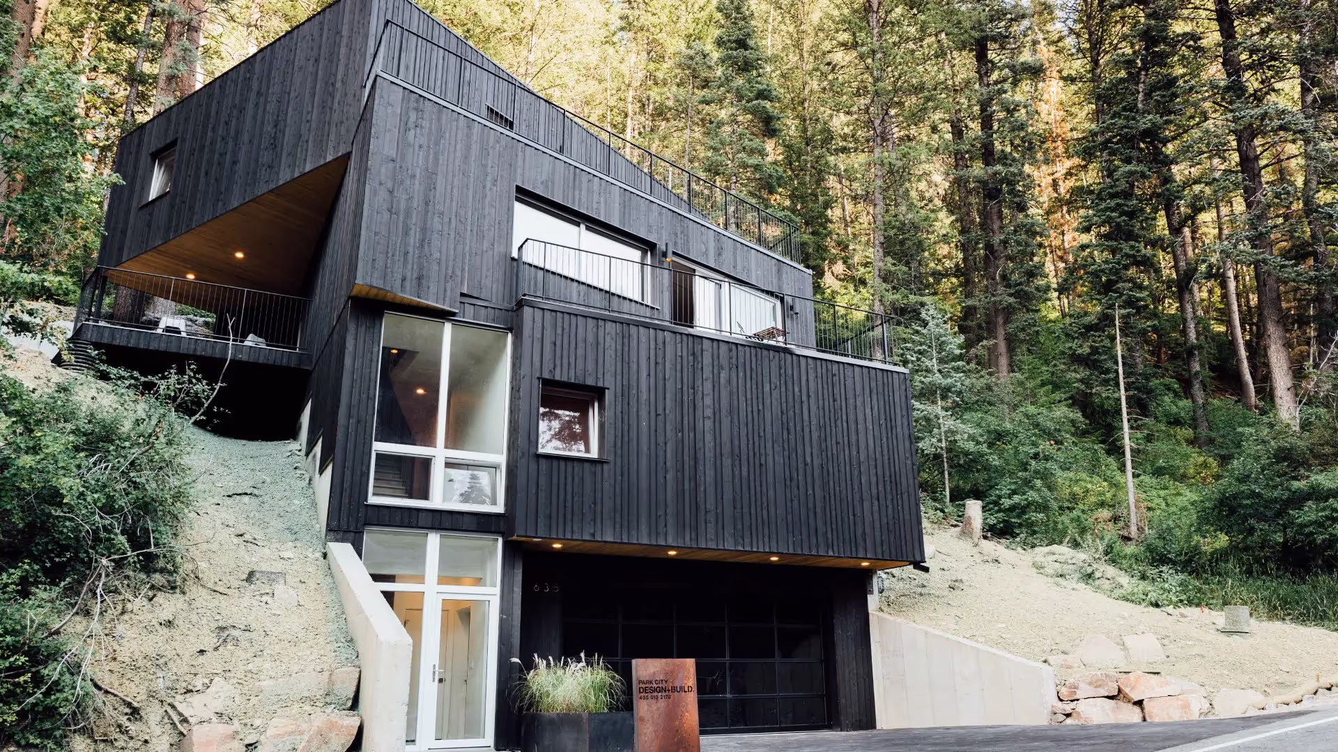 Tree Haus