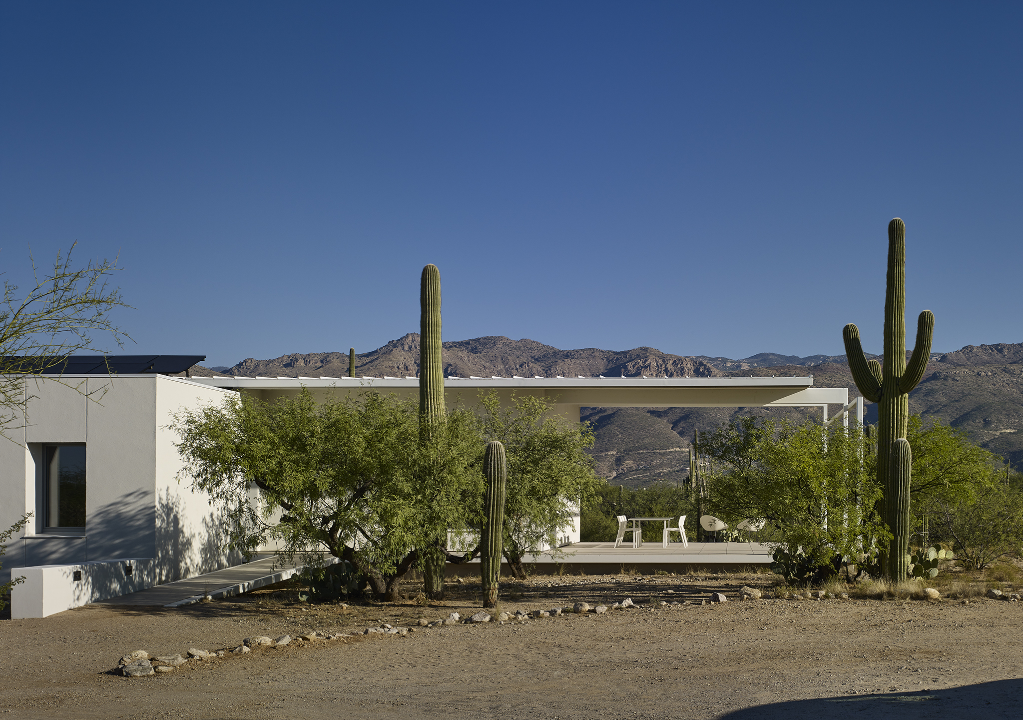 Sonoran Desert House