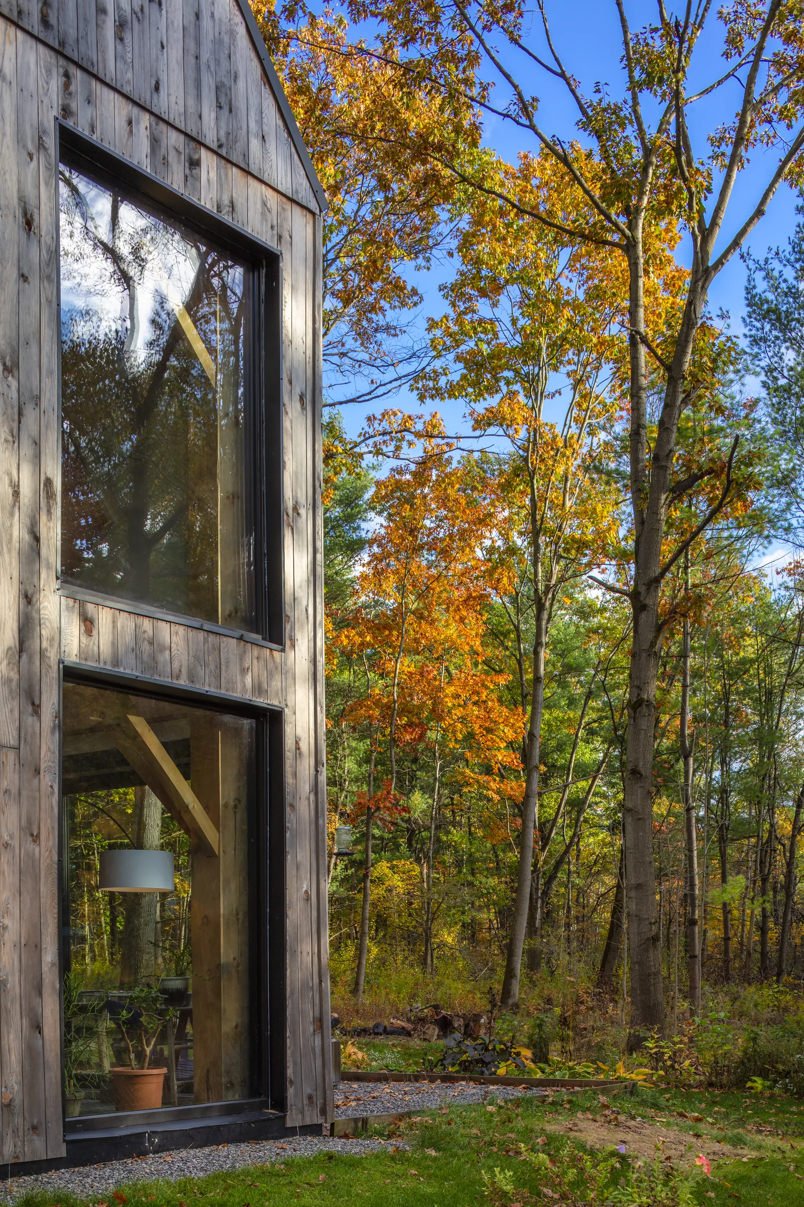 House in the Woods