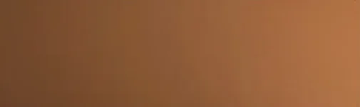 Fawn Brown RAL8007