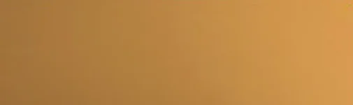 Ochre Brown RAL8001