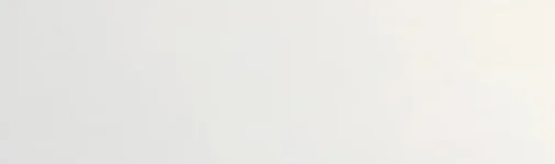 Oyster White RAL1013