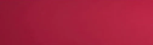 Purple Red RAL3004