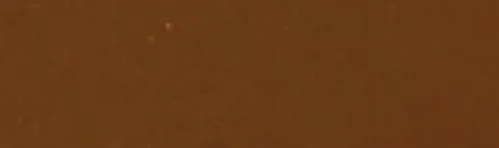 Fawn Brown RAL 8007