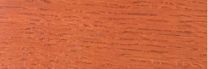 Sapele