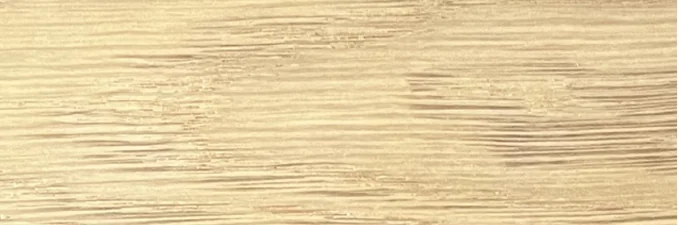 Stone Pine